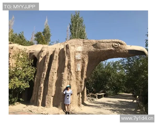 《网球小子逆袭之路 从草根到世界冠军的成长历程》